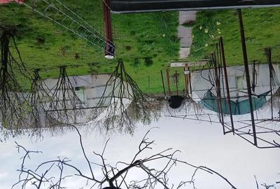 Casă cu 4 camere cu Teren 1500 Mp în Central - 3