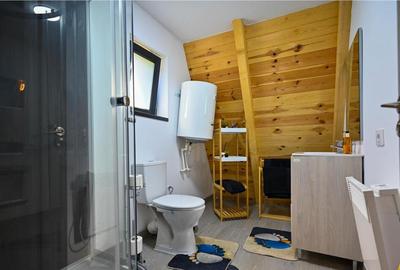 Spațiu comercial, de 300 mp, în Central - 10