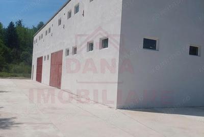 Spațiu comercial, de 150 mp, în Băuțar - 5