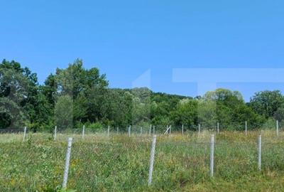 Teren extravilan de 1000 mp, situat pe strada Ghinzii - 4