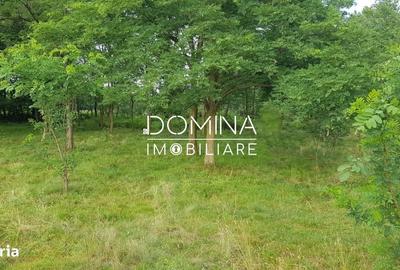 Spațiu comercial, în Polovragi - 5