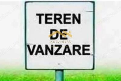 Teren de 510 mp, în Bucovăț (Remetea Mare) - 1