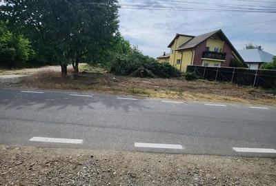 Teren de 1271 mp, în Domnești - 4