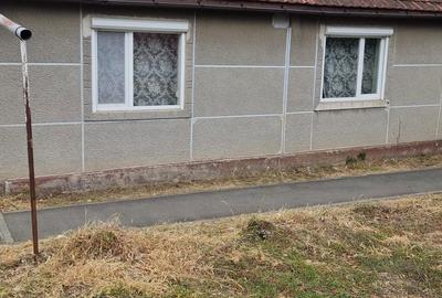 Casă cu 2 camere în Miniș - 2