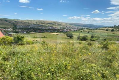 OPORTUNITATE! Teren intravilan 700 mp, Chinteni - 2