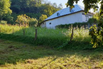 Teren de 7000 mp, în Ștubeie Tisa - 18