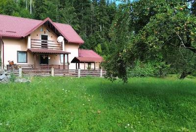 Casă cu Teren 1768 Mp în Cacica - 2