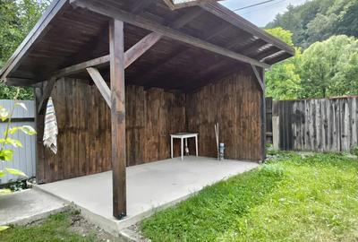 Casa de vanzare Zizin, com. Tarlungeni , zona lini?tita, aproape de natura* - 11