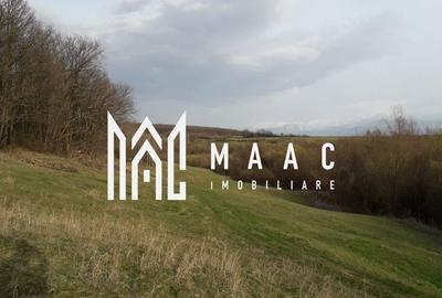 Spațiu comercial, în Râu Sadului - 3