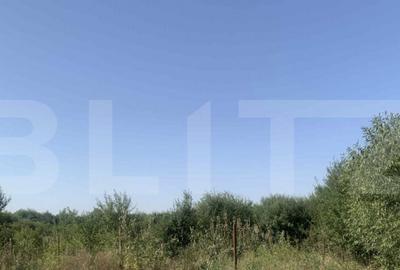 Teren intravilan 7200 mp Ardud - 3