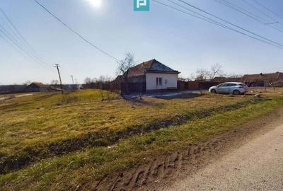 Casa cu Poten?ial Imens in ?ipet, comuna Tormac Casa cu Poten?ial Imens in ?ipet, comuna Tormac - 4