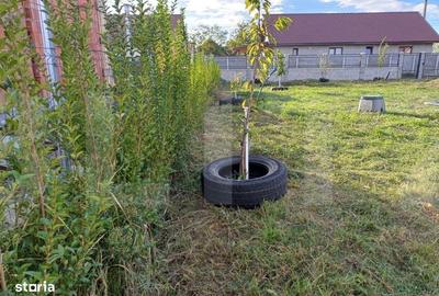 Spațiu comercial, în Sânmihaiu German - 2