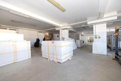 Spațiu industrial, de 2,730 mp, în Prejmer - 23