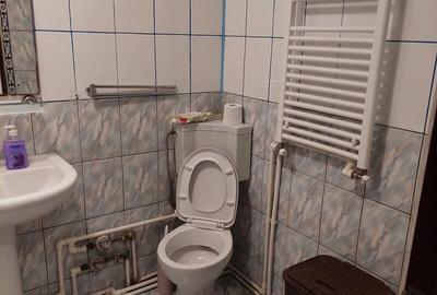 Doamna Ghica x Colentina - lângă parc plumbuita si pod doamna ghica - 5