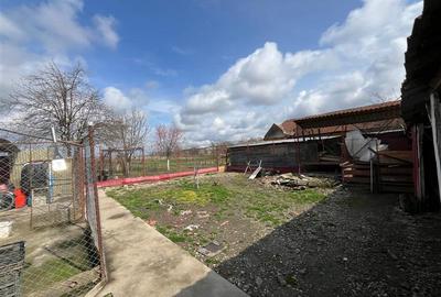 Casă individuală cu 4 camere cu Teren 2935 Mp în Belinț - 25