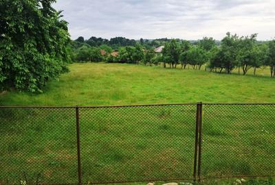 Teren Construcții intravilan de 2560 mp, în Novaci - 5