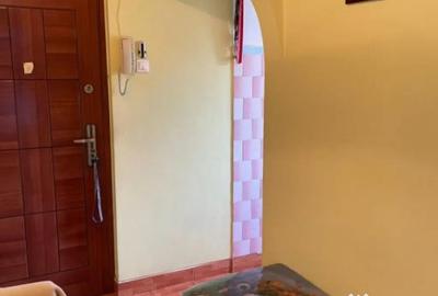 Apartament cu 2 camere semidecomandat în Central - 2