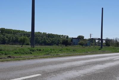 Casă cu 4 camere în Coslogeni - 1