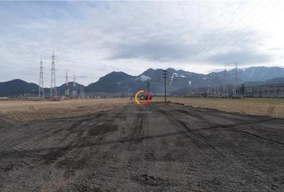 Teren de 4800 mp, în Centură - 3