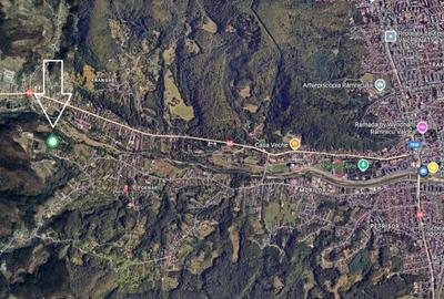 PADURE LANGA ORAS, ACCES BUN, IDEALA PENTRU ACTIVITATI DE AGREMENT - 3