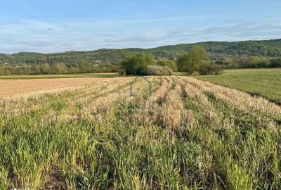 Spațiu comercial, în Remetea Chioarului - 2