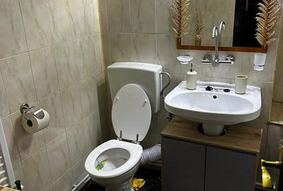 Apartament de inchiriat cu 3 camre zina centrala - 1