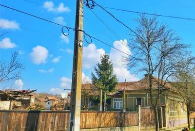Casă cu 3 camere cu Teren 2000 Mp în Sâniob - 6