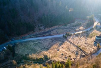 Teren de 12192 mp, în Colibița