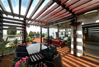 PENTHOUSE zona Bulevard Basarabia - 20