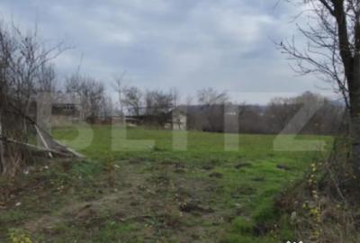 Teren de 3000 mp, în Plopu - 3