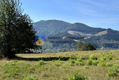 Teren comuna Alexandru cel Bun , drumul spre Bisericani - 5