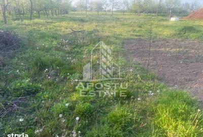 Casă cu 3 camere cu Teren 1439 Mp în Remetea Mare - 1