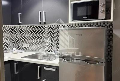 Garsonieră semidecomandată, mobilată în Take Ionescu - 1