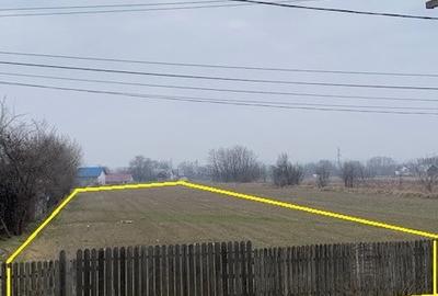 Teren de vanzare 7.123 mp intravilan, Buhusi - 8