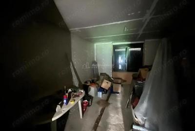 Valisoara, Casa la curte si Teren 3040 Mp, 10 minute de Caransebes - 8