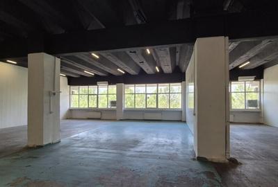 Spațiu comercial, de 270 mp, în Theodor Pallady