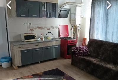 Inchiriez apartament vila Lumina - 1