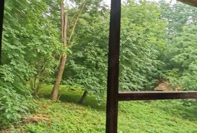 Casă cu 2 camere cu Teren 1960 Mp în Teișani - 5