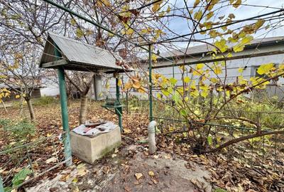 Chitila – T. Vladimirescu, casa individuala 4 camere, lot 530 mp. - 30