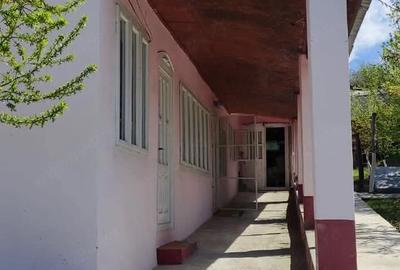 Casă cu 3 camere cu Teren 1000 Mp în Costache Negri - 1
