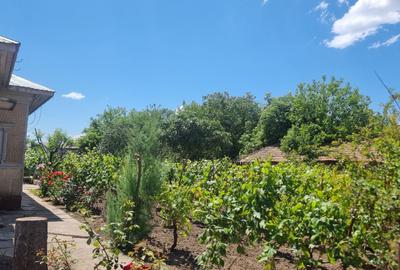 Casă cu 4 camere în Chirnogi - 3