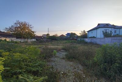 Teren de 1967 mp, în Mărăcineni - 3