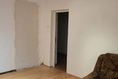 STIRBEI VODA- Conservator - 4