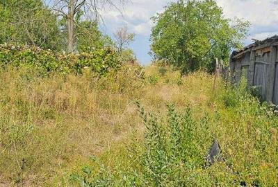 Casă cu 4 camere în Coșdeni