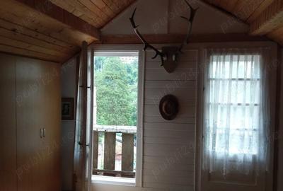 Casă cu 5 camere cu Teren 4200 Mp în Băile Herculane - 2