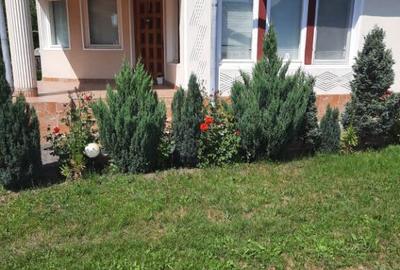 Unguras, casa , 6 ari teren - 5