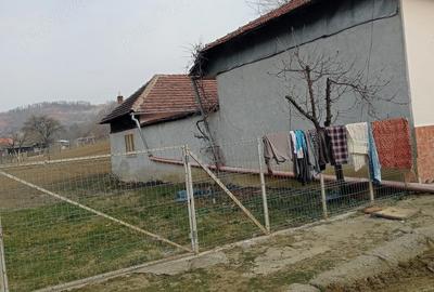 Casă cu Teren 2500 Mp în Globu Craiovei - 2