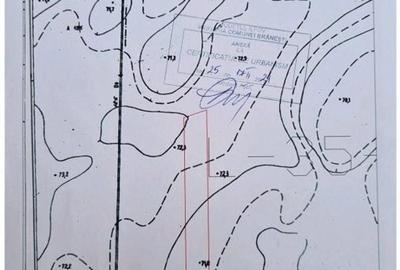 Branesti teren intravilan 30700 mp - 13
