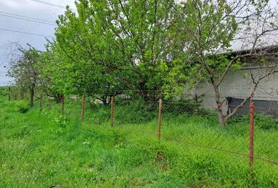 Casă cu 4 camere cu Teren 256 Mp în Oltenița