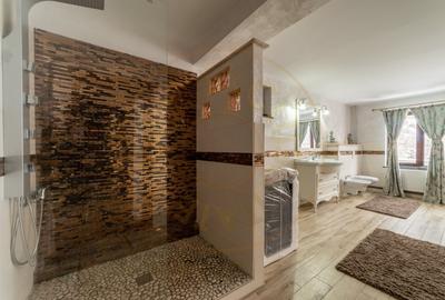 Casă individuală cu 6 camere cu Teren 4345 Mp în Valea Ursului - 9